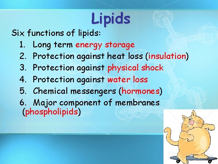 Lipids Six functions of lipids: 1. Long term energy storage 2. Protection against heat
