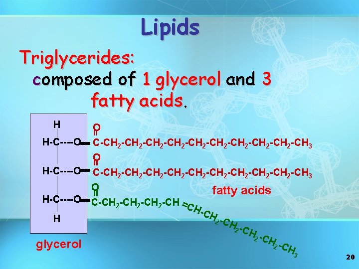Lipids Triglycerides: composed of 1 glycerol and 3 fatty acids. H = O H-C----O
