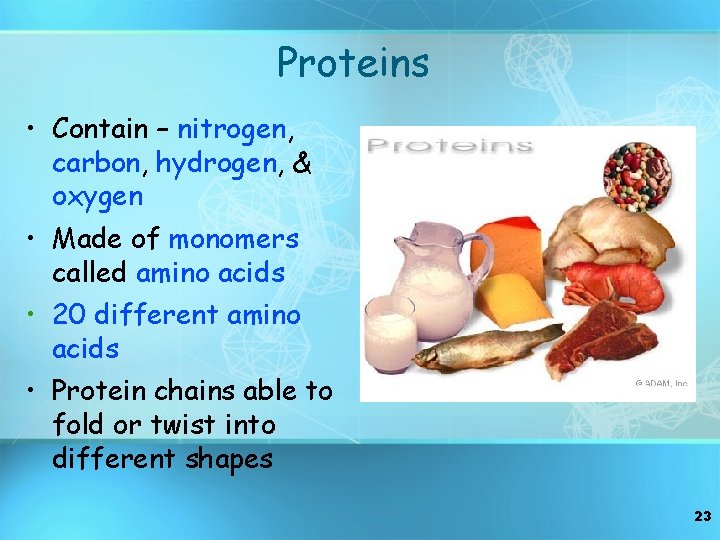 Proteins • Contain – nitrogen, carbon, hydrogen, & oxygen • Made of monomers called