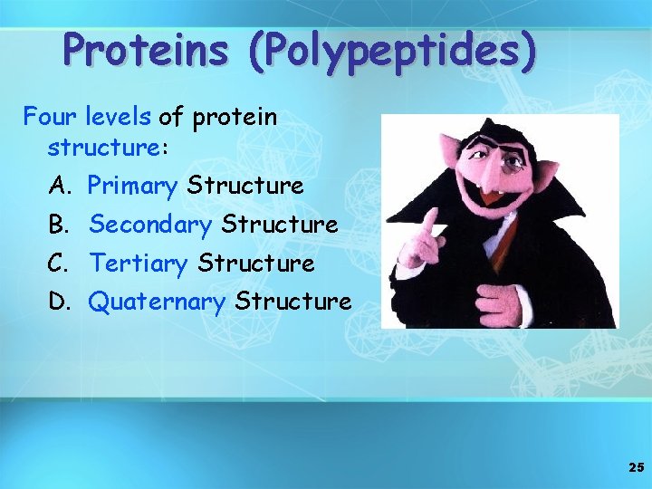 Proteins (Polypeptides) Four levels of protein structure: A. Primary Structure B. Secondary Structure C.