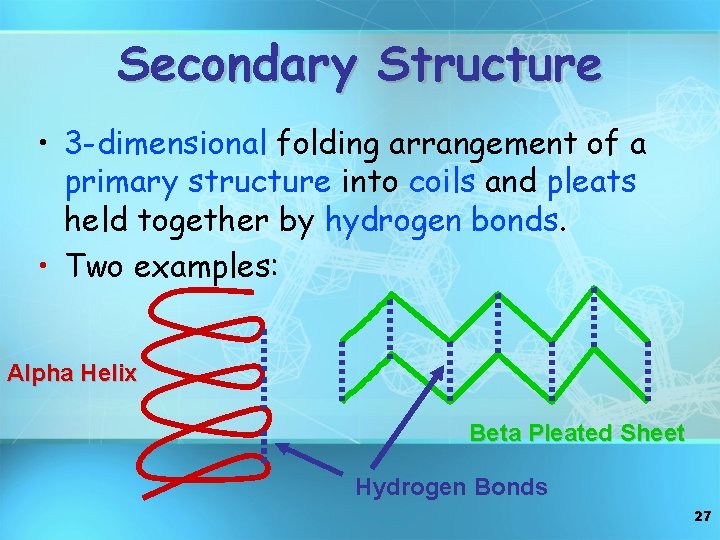 Secondary Structure • 3 -dimensional folding arrangement of a primary structure into coils and