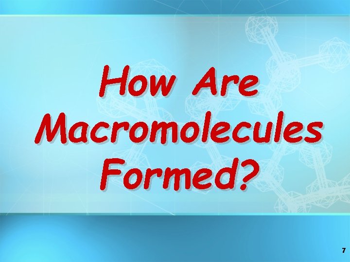 How Are Macromolecules Formed? 7 