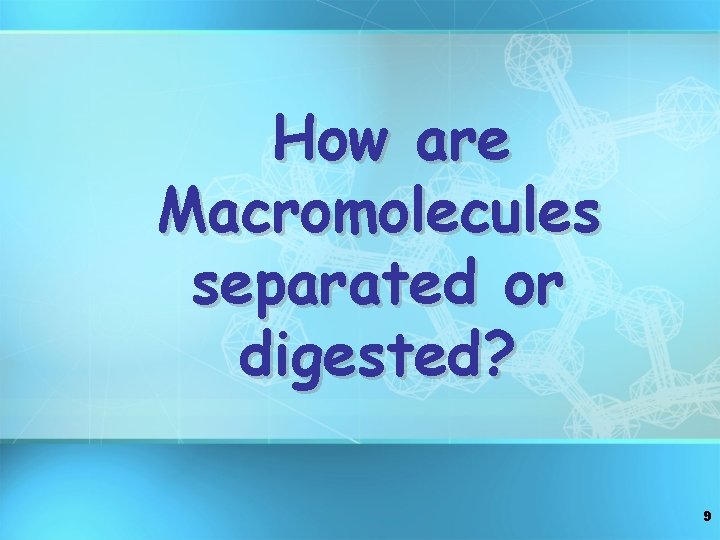 How are Macromolecules separated or digested? 9 