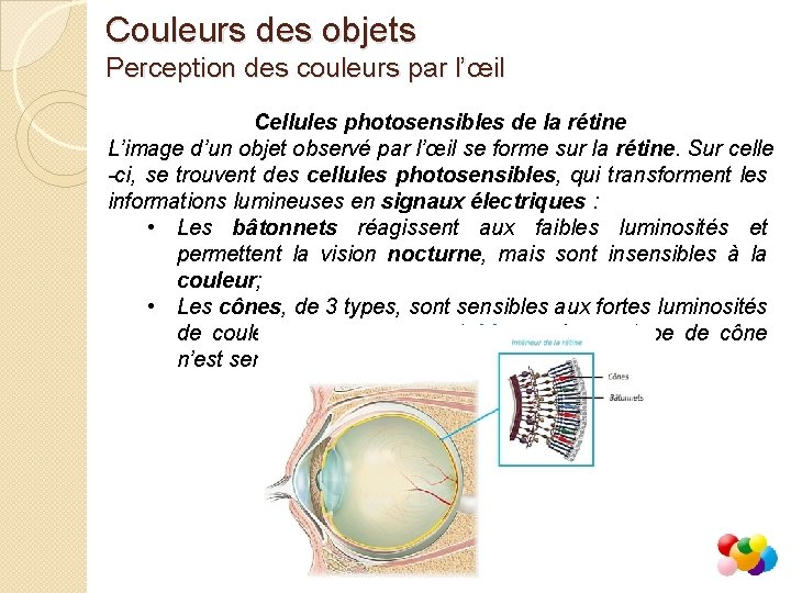 Couleurs des objets Perception des couleurs par l’œil Cellules photosensibles de la rétine L’image