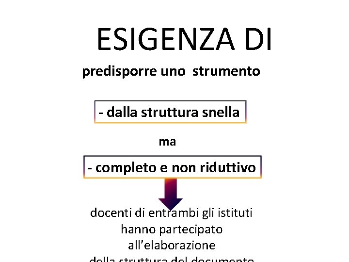 ESIGENZA DI predisporre uno strumento - dalla struttura snella ma - completo e non