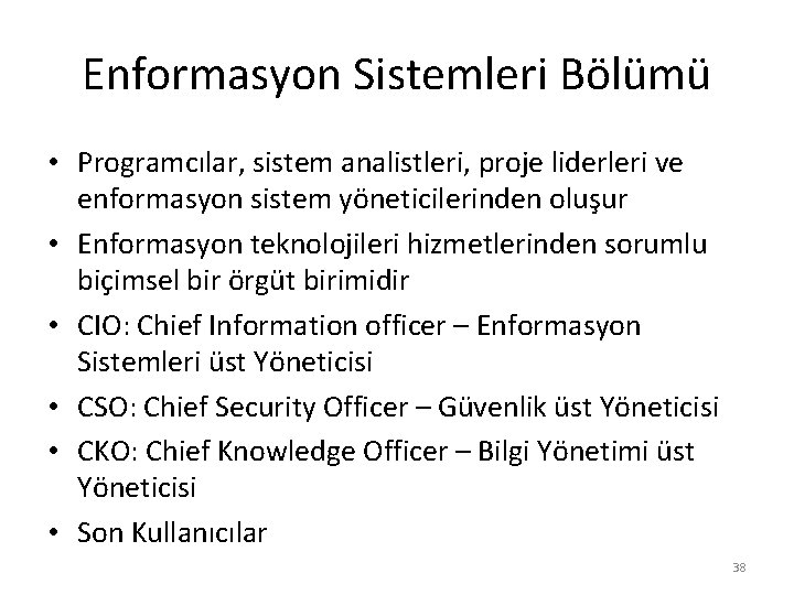 Enformasyon Sistemleri Bölümü • Programcılar, sistem analistleri, proje liderleri ve enformasyon sistem yöneticilerinden oluşur