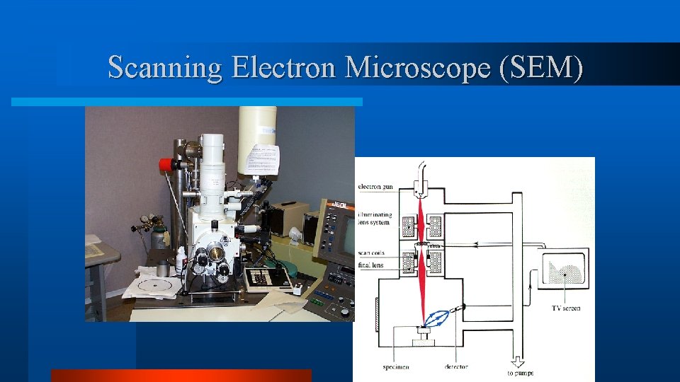 Scanning Electron Microscope (SEM) Scanning Electron Microscope (SEM)