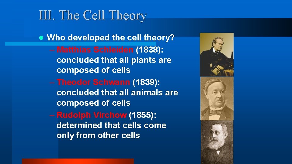 III. The Cell Theory l Who developed the cell theory? – Matthias Schleiden (1838): III. The Cell Theory l Who developed the cell theory? – Matthias Schleiden (1838):