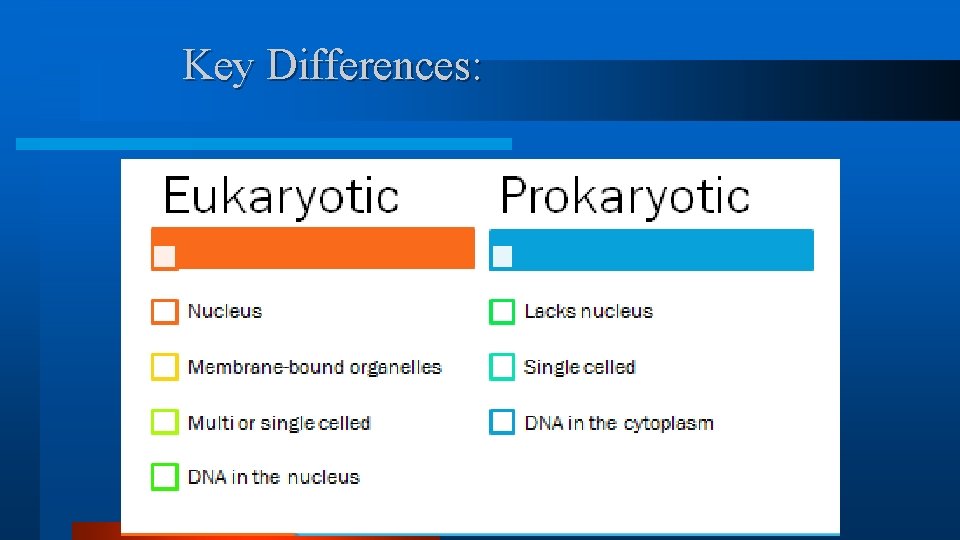 Key Differences: Key Differences:
