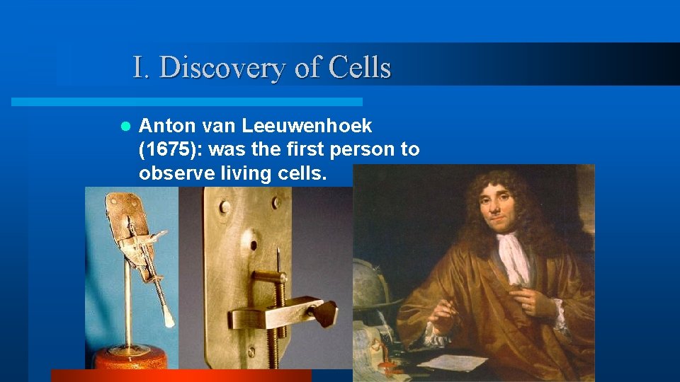 I. Discovery of Cells l Anton van Leeuwenhoek (1675): was the first person to I. Discovery of Cells l Anton van Leeuwenhoek (1675): was the first person to