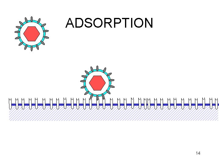 ADSORPTION 14 