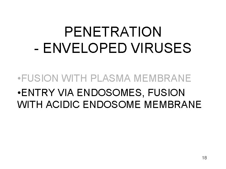 PENETRATION - ENVELOPED VIRUSES • FUSION WITH PLASMA MEMBRANE • ENTRY VIA ENDOSOMES, FUSION