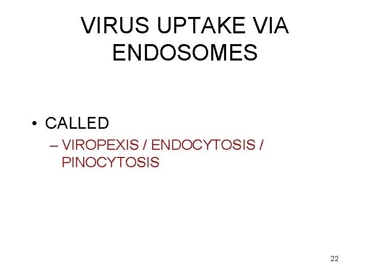 VIRUS UPTAKE VIA ENDOSOMES • CALLED – VIROPEXIS / ENDOCYTOSIS / PINOCYTOSIS 22 