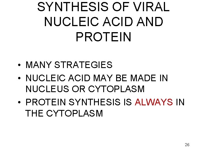 SYNTHESIS OF VIRAL NUCLEIC ACID AND PROTEIN • MANY STRATEGIES • NUCLEIC ACID MAY