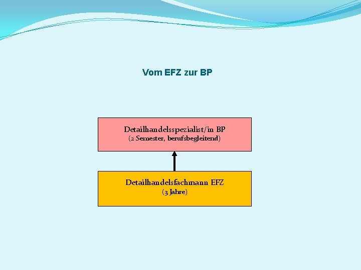 Vom EFZ zur BP Detailhandelsspezialist/in BP (2 Semester, berufsbegleitend) Detailhandelsfachmann EFZ (3 Jahre) 