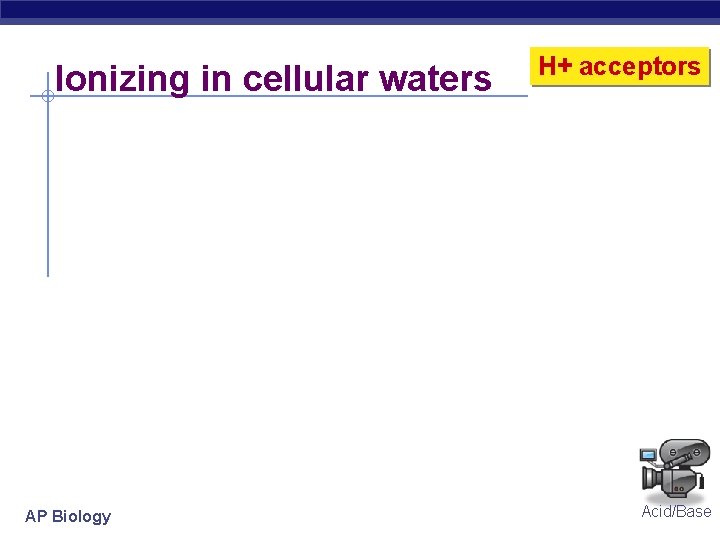 Ionizing in cellular waters AP Biology H+ acceptors Acid/Base 