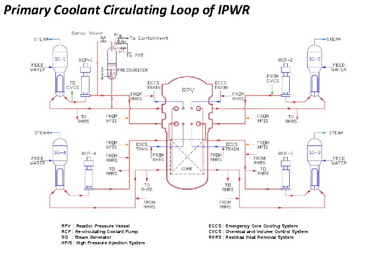 Primary Coolant Circulating Loop of IPWR RPV : Reactor Pressure Vessel RCP : Re-circulating