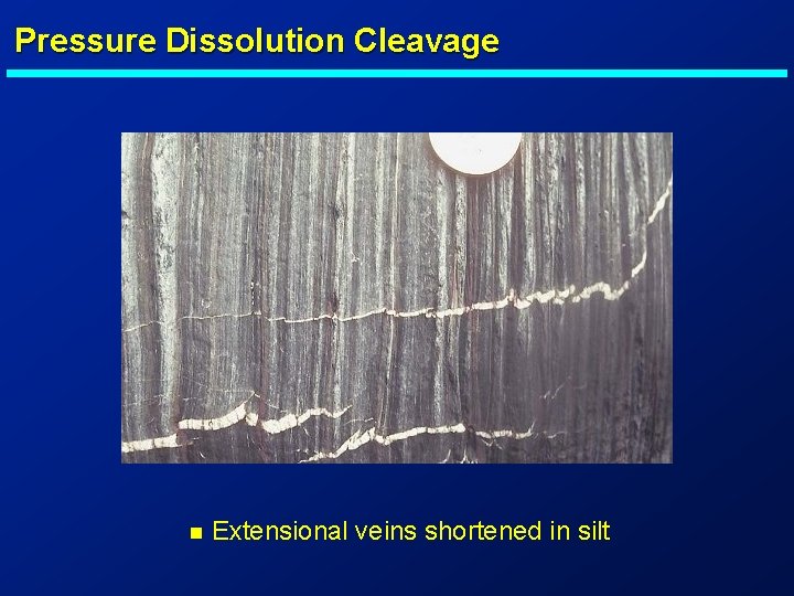 Pressure Dissolution Cleavage n Extensional veins shortened in silt 