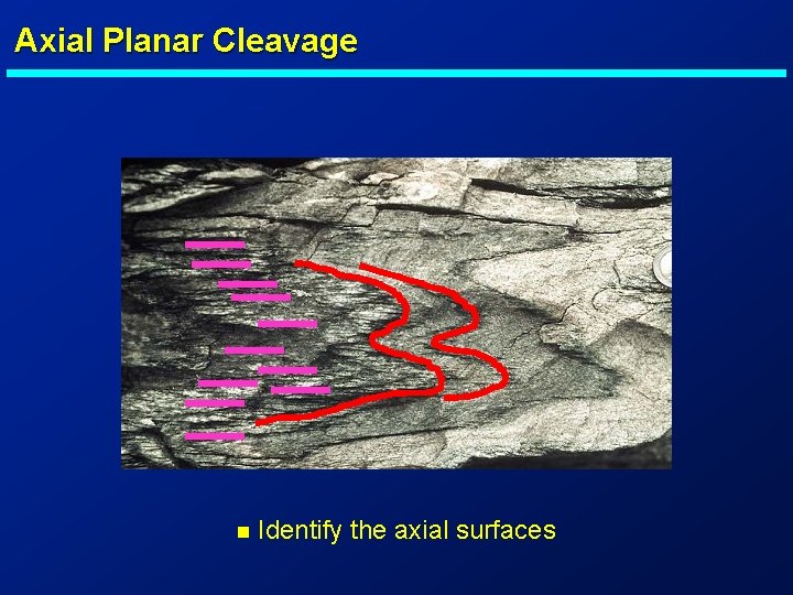 Axial Planar Cleavage n Identify the axial surfaces 