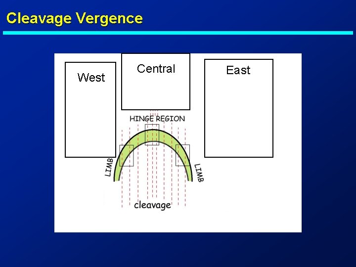 Cleavage Vergence West Central East 