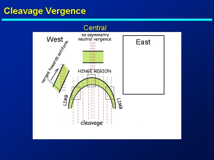 Cleavage Vergence Central West East 