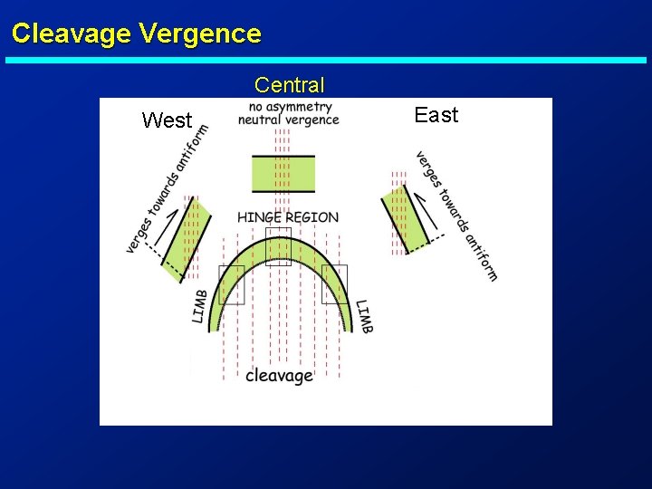 Cleavage Vergence Central West East 