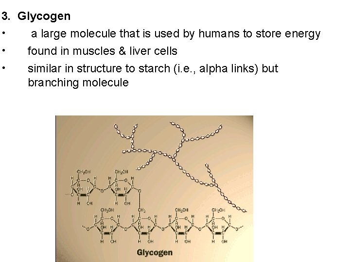 3. Glycogen • a large molecule that is used by humans to store energy