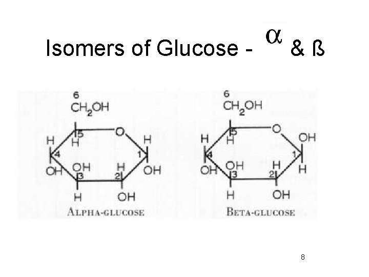 Isomers of Glucose - &ß 8 