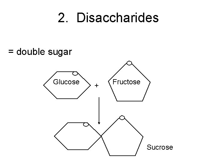 2. Disaccharides = double sugar Glucose + Fructose Sucrose 