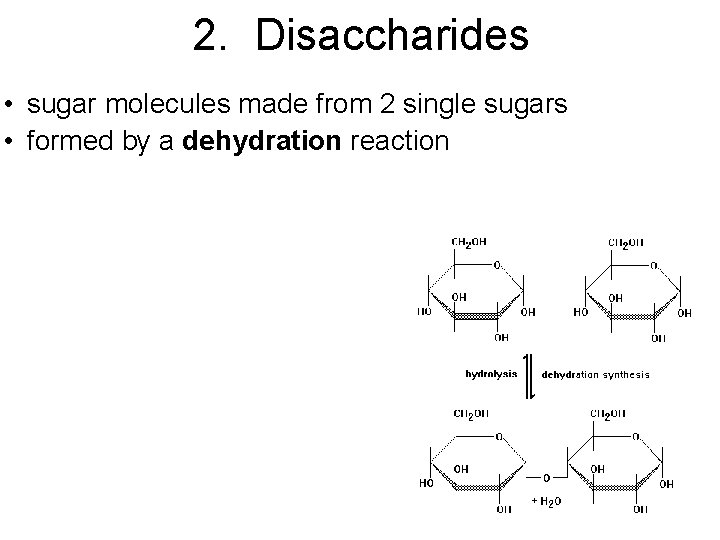 2. Disaccharides • sugar molecules made from 2 single sugars • formed by a