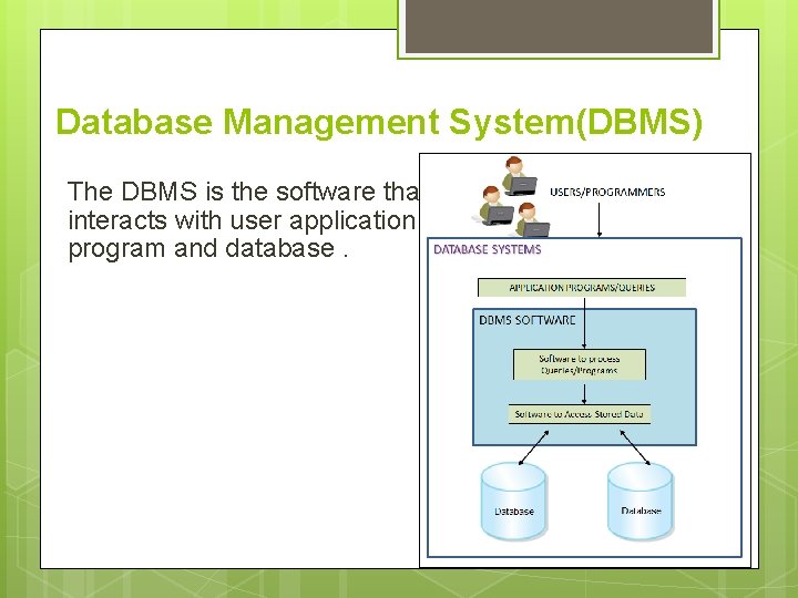Database Management System(DBMS) The DBMS is the software that interacts with user application program Database Management System(DBMS) The DBMS is the software that interacts with user application program