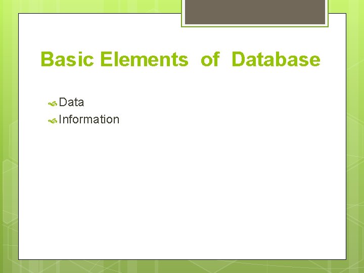 Basic Elements of Database Data Information Basic Elements of Database Data Information