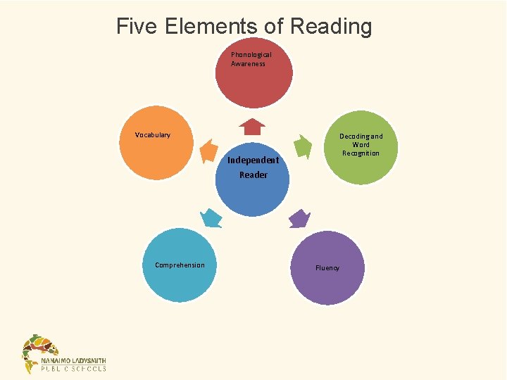 Five Elements of Reading Phonological Awareness Vocabulary Independent Decoding and Word Recognition Reader Comprehension Five Elements of Reading Phonological Awareness Vocabulary Independent Decoding and Word Recognition Reader Comprehension