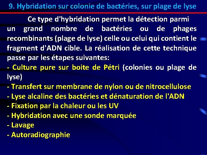 9. Hybridation sur colonie de bactéries, sur plage de lyse Ce type d'hybridation permet