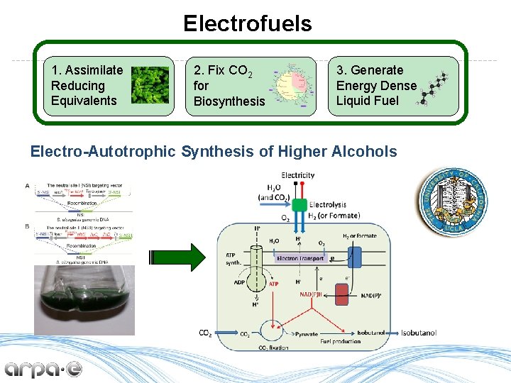 Electrofuels 1. Assimilate Reducing Equivalents 2. Fix CO 2 for Biosynthesis 3. Generate Energy
