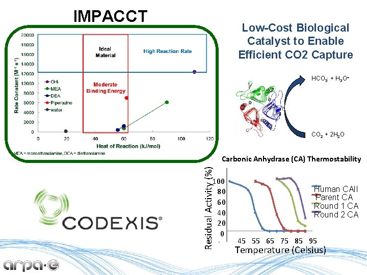 IMPACCT Low-Cost Biological Catalyst to Enable Efficient CO 2 Capture HCO 3 - +