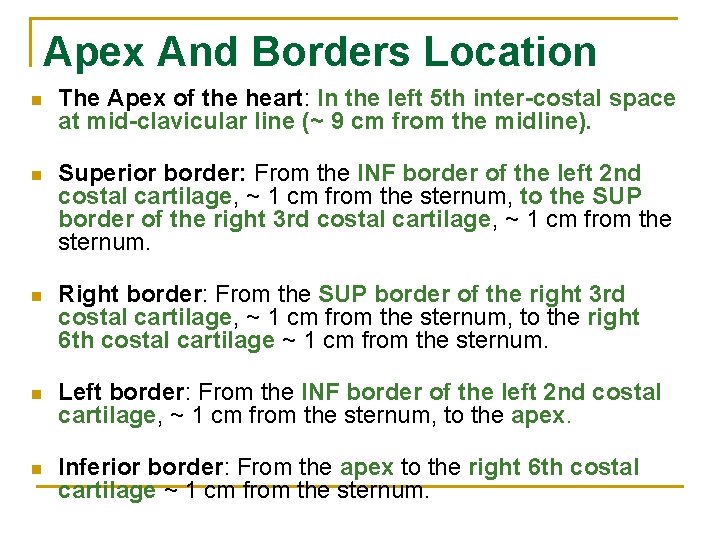 Apex And Borders Location n The Apex of the heart: In the left 5