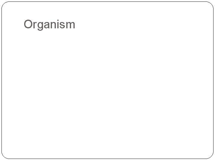 Organism 