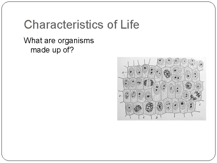 Characteristics of Life What are organisms made up of? 