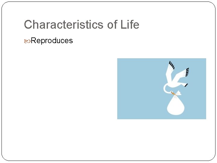 Characteristics of Life Reproduces 