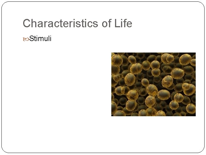 Characteristics of Life Stimuli 