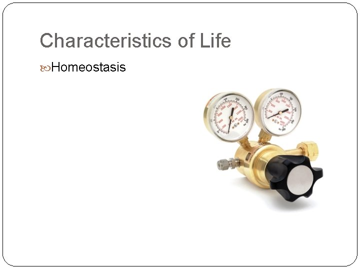 Characteristics of Life Homeostasis 