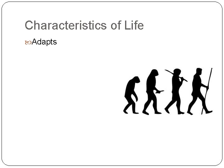 Characteristics of Life Adapts 