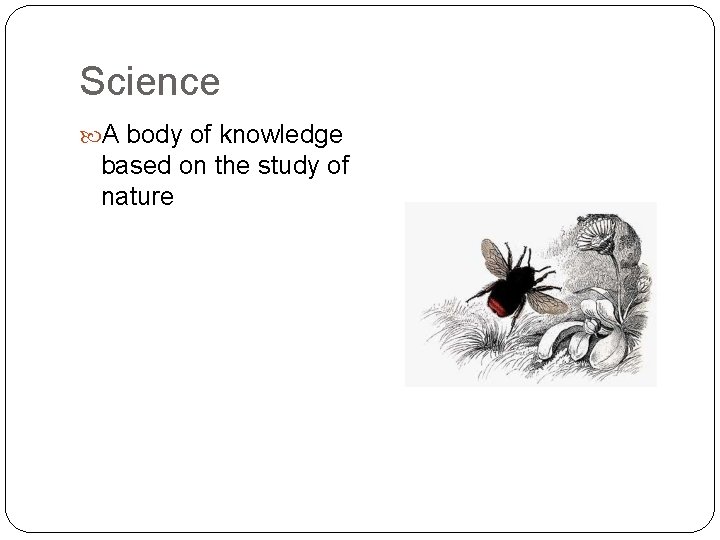 Science A body of knowledge based on the study of nature 