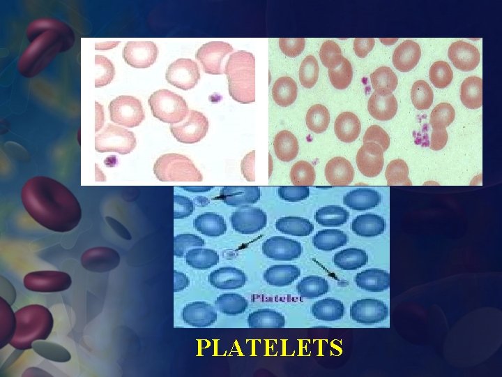 PLATELETS 