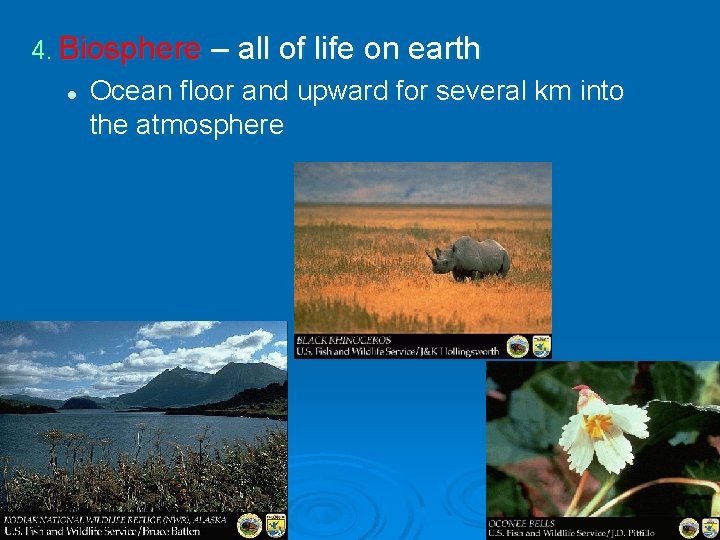 4. Biosphere – all of life on earth l Ocean floor and upward for