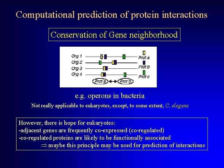 Computational prediction of protein interactions Conservation of Gene neighborhood e. g. operons in bacteria