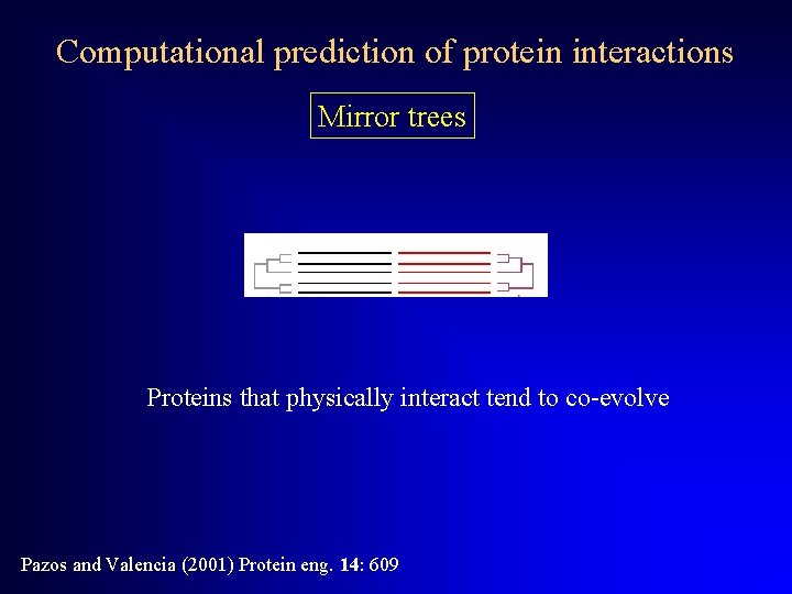 Computational prediction of protein interactions Mirror trees Proteins that physically interact tend to co-evolve