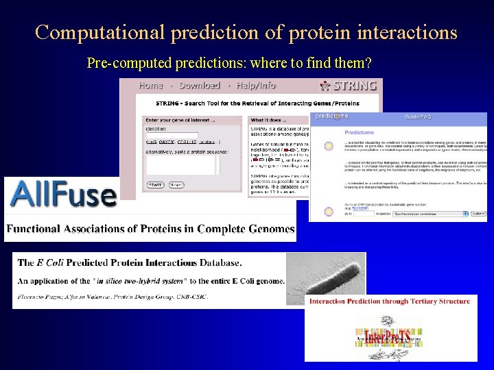 Computational prediction of protein interactions Pre-computed predictions: where to find them? 