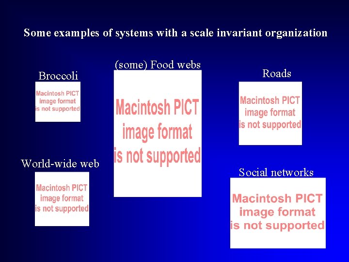 Some examples of systems with a scale invariant organization Broccoli World-wide web (some) Food